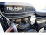 2021 Triumph Speed Twin for sale 201202677